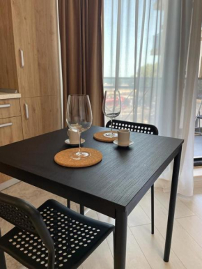 Ini Apartment Solid House Butoaie Mamaia